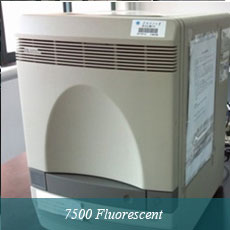 7500 Fluorescent Quantitation PCR