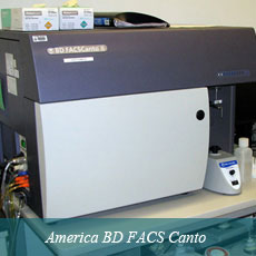 America BD FACS Canto II Flow Cytometer