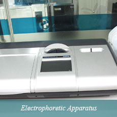 Electrophoretic apparatus