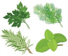Natural Treatment for Renal Cortical Cyst-Chinese Herbal Treatment