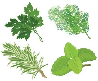 natural treatment for renal cortical cyst, Chinese Herbal Treatment