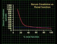 What Does Creatinine Level of 4.8 Mean