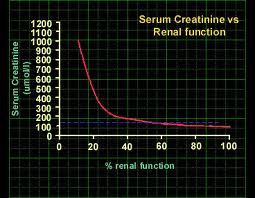 creatinine and kidney function