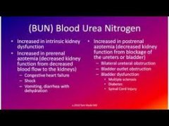 Glomerulonephritis Cause Increase of Blood Urea Nitrogen