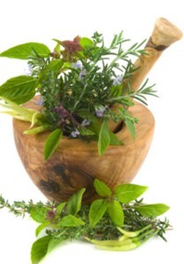 herbs for kidney failure