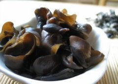 Is Black Fungus Good for Kidney Disease