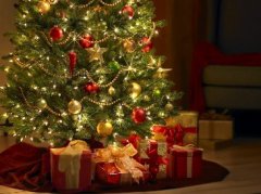Happy and Healthy Christmas for Kidney Disease Patients