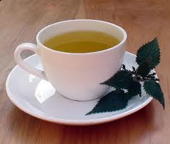 nettle leaf tea