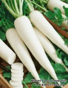 White Radish For Polycystic Kidney Disease Patients