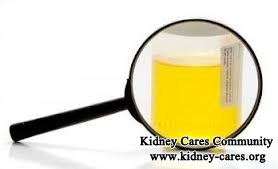 Can Proteinuria Be Successfully Treated