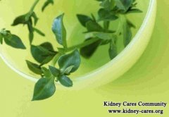 Chinese Medicine Treatment For Bubble Urine With Kidney Disease