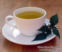 Natural Herb To Lower Creatinine In Blood---Nettle Leaf