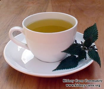 nettle leaf tea