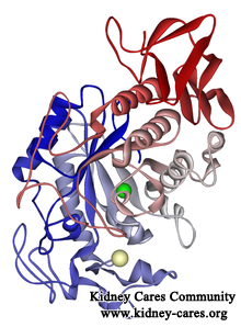 Relationship Between Amylase Levels in Renal Failure