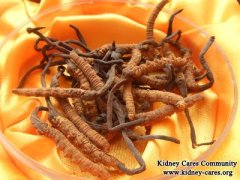 Cordyceps Sinensis Helps Kidney Disease Patients