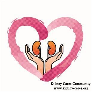 world kidney day 2013