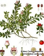 Chinese Medicines Treat Polycystic Kidney Disease