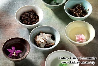 renal parenchymal disease chinese medicines