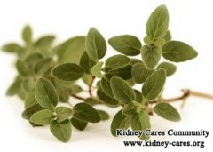 Best Herbal Medicines for Kidney Failure