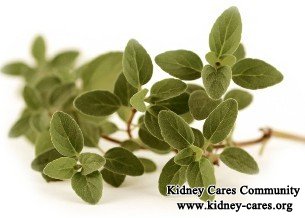 Herbal Medicines for Kidney Failure