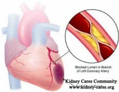 How Does Nephrotic Syndrome Cause Hyperlipidemia