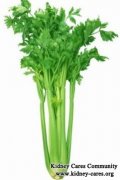 Is Celery Safe for Kidney Disease