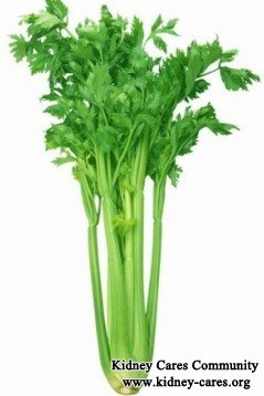 is celery safe for kidney disease