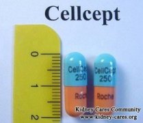 How Does CellCept Work for FSGS