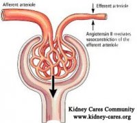 How to Raise GFR Naturally