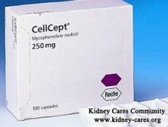 How Does CellCept Work for Minimal Change Disease (MCD)