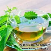Is Nettle Tea Good For Kidney Disease