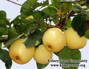 Is Pear Good for Kidney Disease Patients