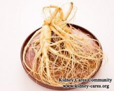 Kidney Disease And Ginseng
