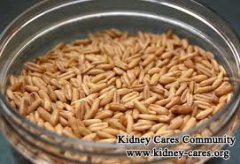 IgA Nephropathy and Glucans