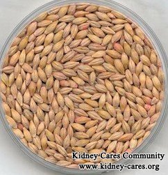How Barley Helps Reduce Creatinine for Diabetic Kidney Disease