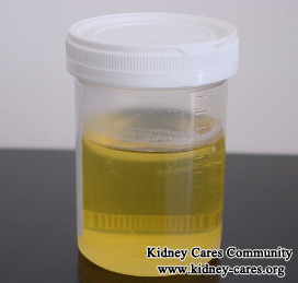 How Does Glomerulonephritis Lead To Proteinuria