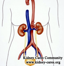 What Is the Primary Reason for Shrinking Kidney