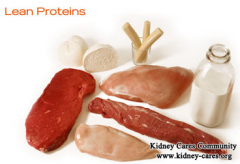 Is High Protein Intake Bad For Lupus Patients