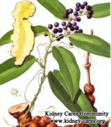 Herbal Medicines to Treat Chronic Nephritis Naturally