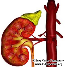 What Are The Symptoms of Nephritis In Early Stage