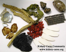 Can Traditional Chinese Medicine Cure IgA Nephropathy