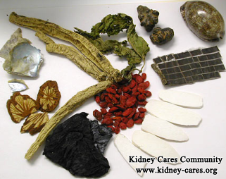 Can Traditional Chinese Medicine Cure IgA Nephropathy