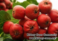 Can People with Chronic Kidney Disease Eat Hawthorn