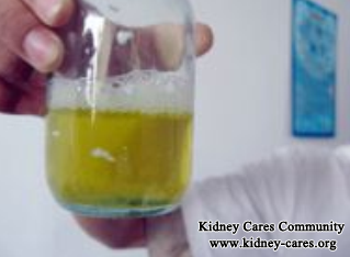 How To Reduce Proteinuria In IgA Nephropathy