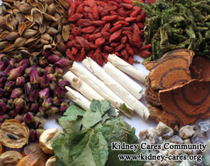 Treatment For IgA Nephropathy Naturally