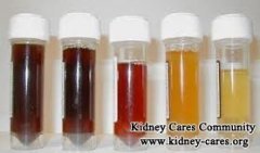 Causes Of Proteinuria And Hematuria In Nephritis