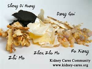 How to Prevent Diabetes from Causing Kidney Failure