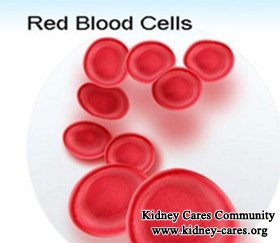 How to Raise Hemoglobin (Hb) in Kidney Failure