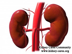 Treatment for Chronic Kidney Failure with Kidney Shrinkage
