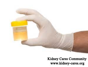Why Can Diabetes Cause Protein in Urine